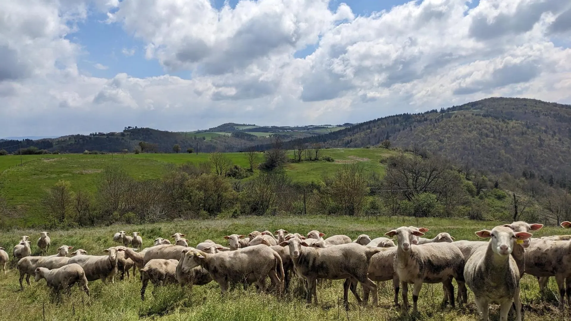 La Grange, Le Hameau Des Volcans - Deconnexion Face A La Vue Saint-Just-pres-Brioude 0*,  France